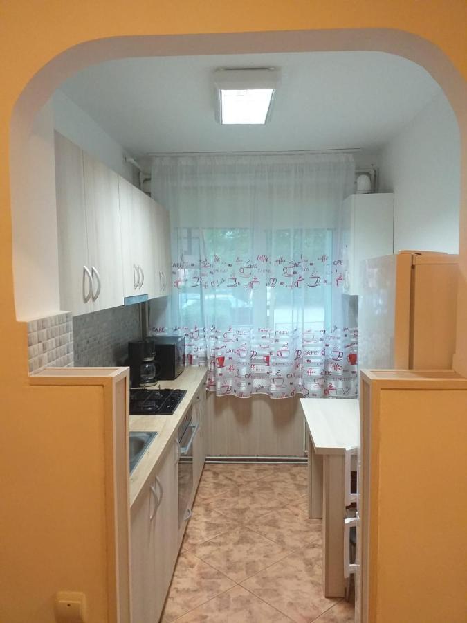 Muntean Residence 锡比乌 外观 照片