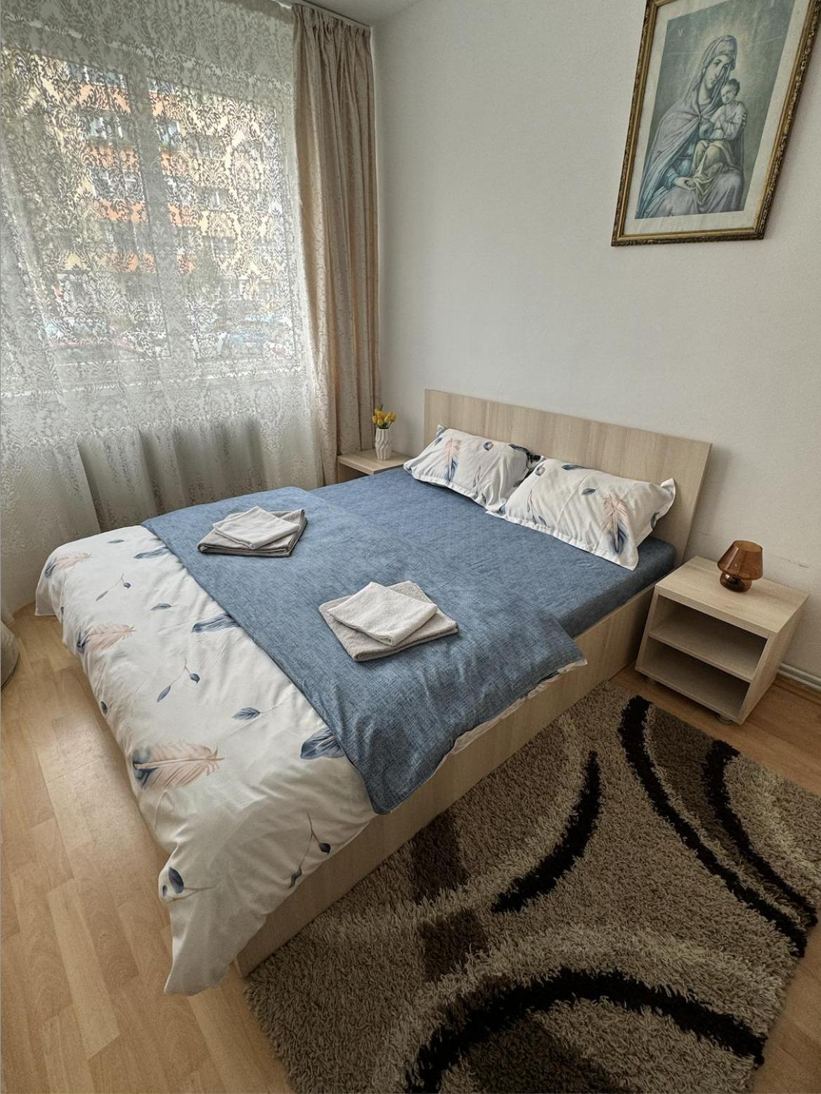 Muntean Residence 锡比乌 外观 照片